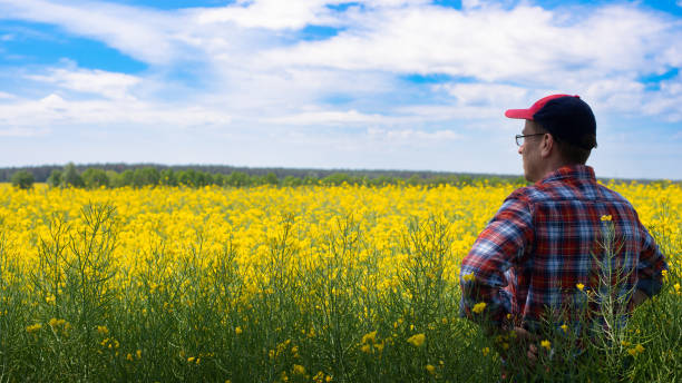 istock Middle aged caucasian farmer stands at canola field 1349608240