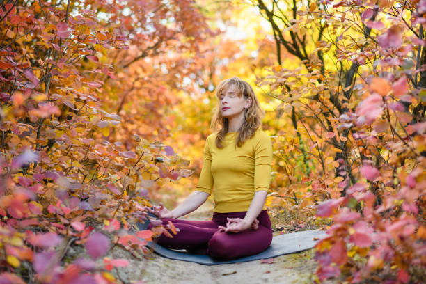 mulher relaxa em pose de ioga na floresta - calming down - fotografias e filmes do acervo