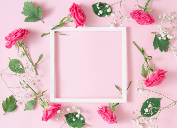 istock White square frame with pink roses on pink background. Minimalistic floral art composition. Copy space 1349632665