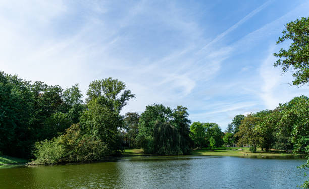 istock View to the lake shore with trees and blue sky 1349637102