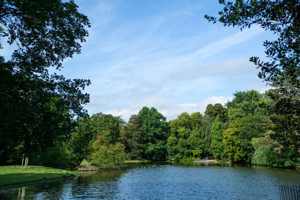 istock View to the lake shore with trees and blue sky 1349637170