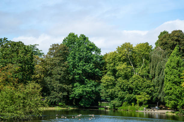 istock View to the lake shore with trees and blue sky 1349637171