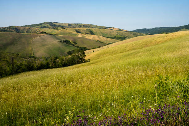 istock Rural landscape on the hills near Bologna, Emilia-Romagna. 1349652825