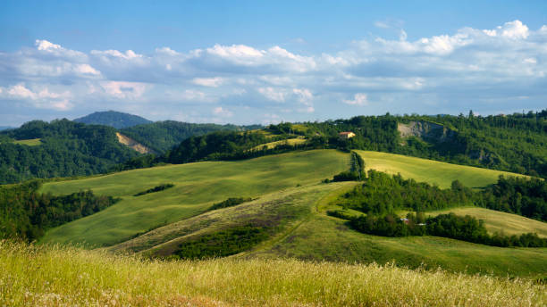 istock Rural landscape on the hills near Bologna, Emilia-Romagna. 1349653146