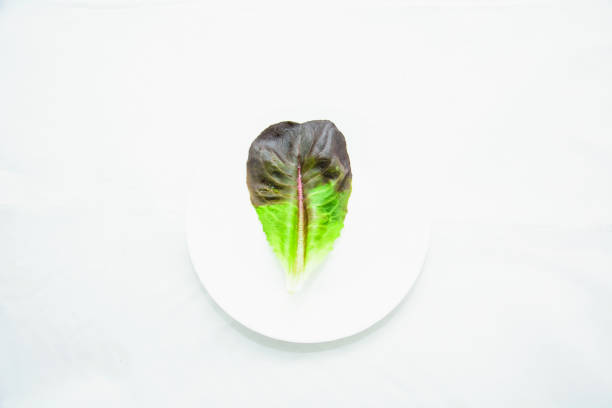 istock Fresh juicy appetizing healthy lettuce leaves on a white plate 1349657822
