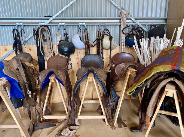 Horse Shed with Saddles and Helmets