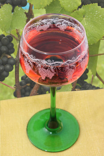 istock Glass of wine  Tasting at a winery 1349669729