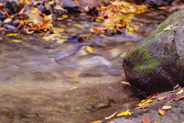 Red autumn leaf lying on wet mossy stone in rocky riverbed of mountain stream.