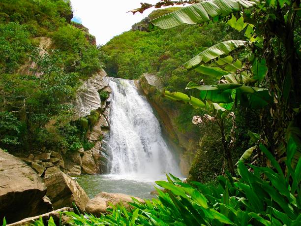 cachoeira no taco bamba - tropical rainforest tropical climate waterfall landscape - fotografias e filmes do acervo