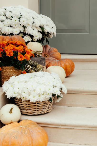 istock Pumpkins on front steps of houses decorated for Halloween 1349682426