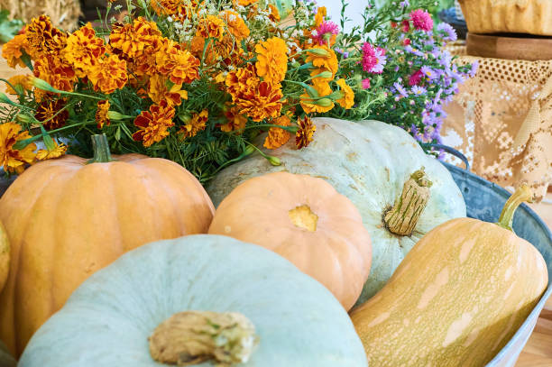 istock colored pumpkins in rustic iron crate with summer flowers 1349683263