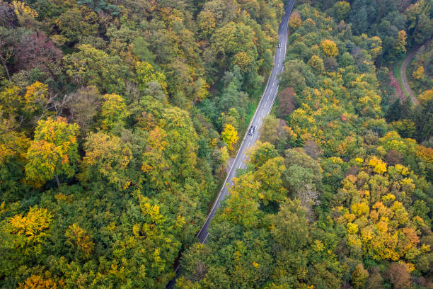 istock Road through autumnal forest - aerial view 1349683922