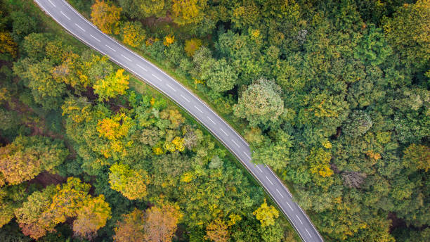 istock Road through autumnal forest - aerial view 1349683936