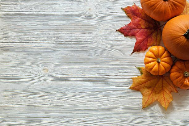 istock Bunch of pumpkins. 1349683956