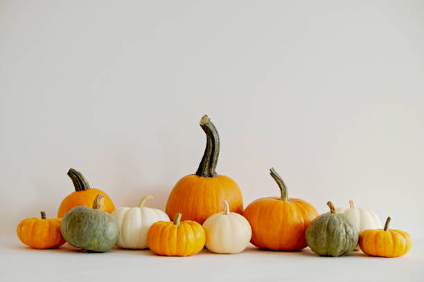 istock Bunch of pumpkins. 1349684005