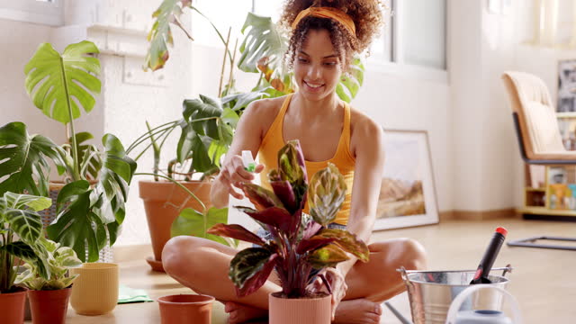 Woman spraying water on plants in living room