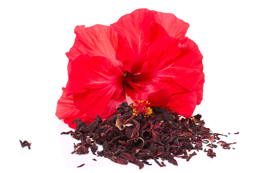 Hibiscus tea and flower isolated on a white background