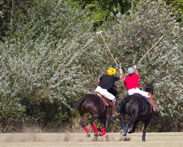 istock Two Polo Mallets In The Air 134968680