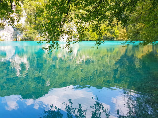 бирюзовое озеро в национальном парке плитвицкие озера, хорватия - plitvice lakes national park water lake national park стоковые фото и изображения