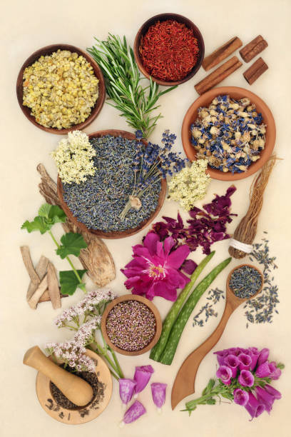 istock Healing Herbs for Health and Wellness 1349687918