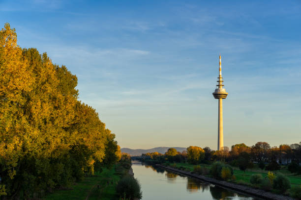 Television Tower The river Neckar and the telecommunication tower in Mannheim in Germany. mannheim stock pictures, royalty-free photos & images