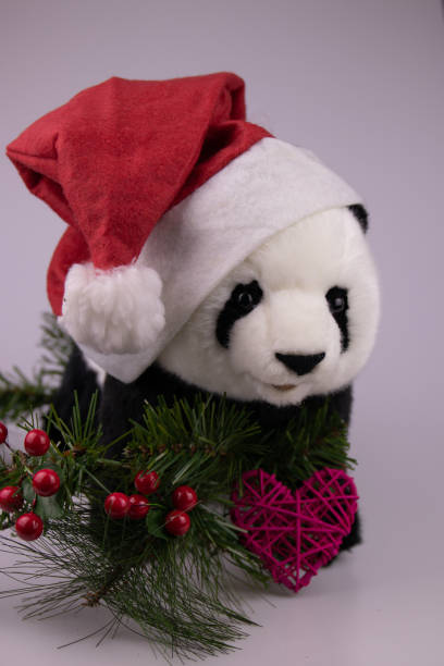 istock Panda and Christmas Time 1349695881
