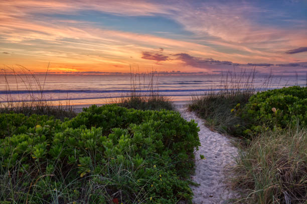 Sunrise Beach Path A path on the beach through the natural sand dunes toward an amazing sunrise over the Atlantic Ocean in Cocoa Beach, Florida. cocoa beach stock pictures, royalty-free photos & images