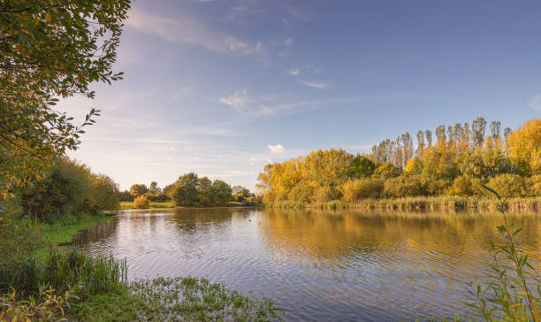 istock Lake in an urban park. 1349708301