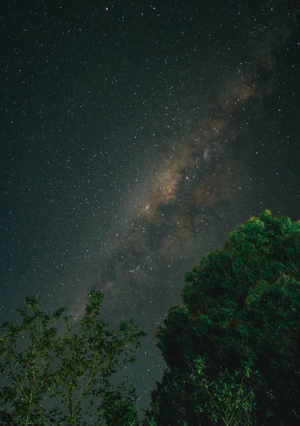 istock Milky Way In The Center 1349711443