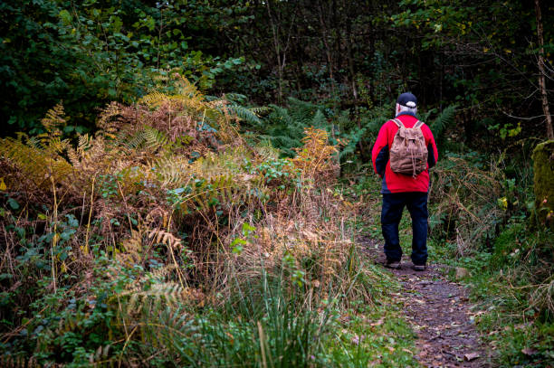 istock Active retired man hiking alone in woodland 1349712996