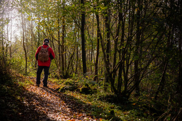 istock Senior man walking alone in deciduous woodland 1349713156