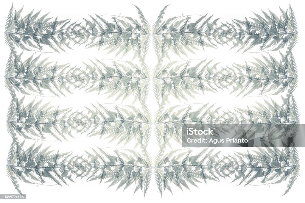 Tropical green leaf background advertising banner with copy space. Abstract Stock Photo