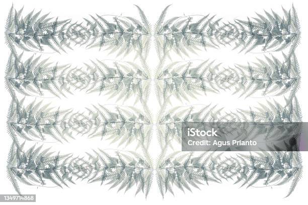 Tropical Green Leaf Background Advertising Banner With Copy Space Stock Photo - Download Image Now
