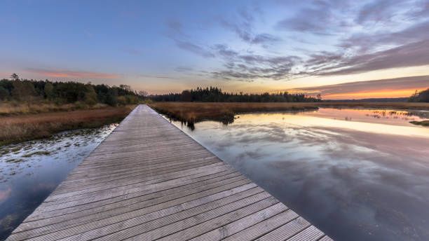 istock Boardwalk in natural heathland fen 1349715511