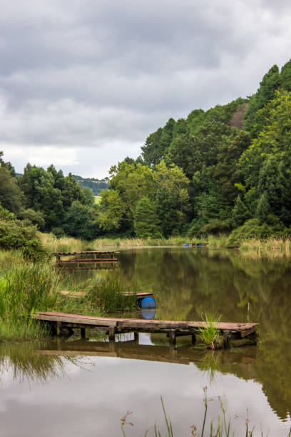 Tranquil view over a small fishing lake, reflecting the surrounding trees, just outside the small town of Haenertsburg, South Africa, on an overcast day.
