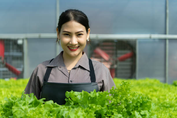 uma nova geração de jovens asiáticos com vegetais orgânicos - gardening women vegetable formal garden - fotografias e filmes do acervo