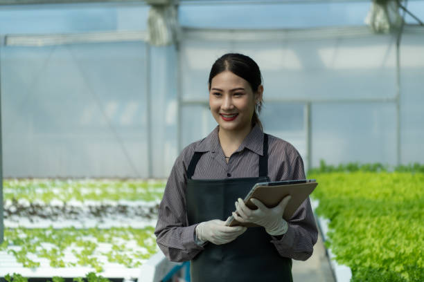 uma nova geração de jovens asiáticos com vegetais orgânicos - gardening women vegetable formal garden - fotografias e filmes do acervo