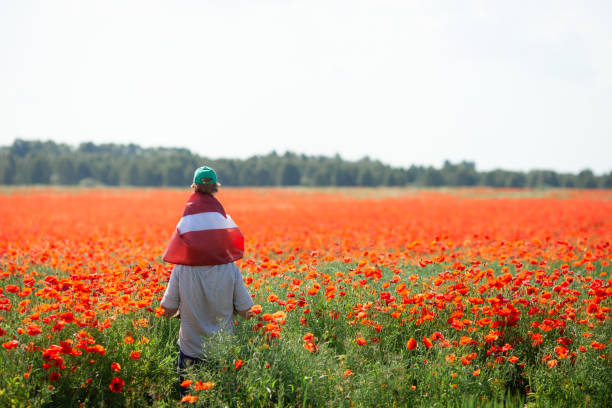 Dad holding his little son covered with flag of Latvia on his shoulders in the poppy field. stock photo