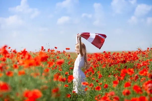 Blond girl holding flag of Latvia in the poppy field. Declaration of Independence Day. Ligo. Proclamation of the Republic. Travel and learn latvian language concept.