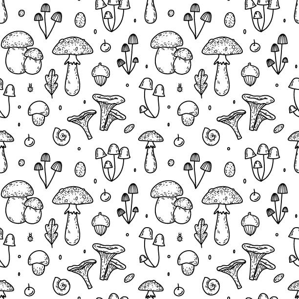 illustrazioni stock, clip art, cartoni animati e icone di tendenza di modello vettoriale senza cuciture con funghi selvatici. funghi della foresta doodle - agarico volante, porcini, finferli, ecc. - fungus mushroom autumn fly agaric mushroom