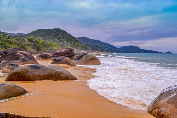 istock Rancho Beach - Trindade - RJ - Brazil 1349747654