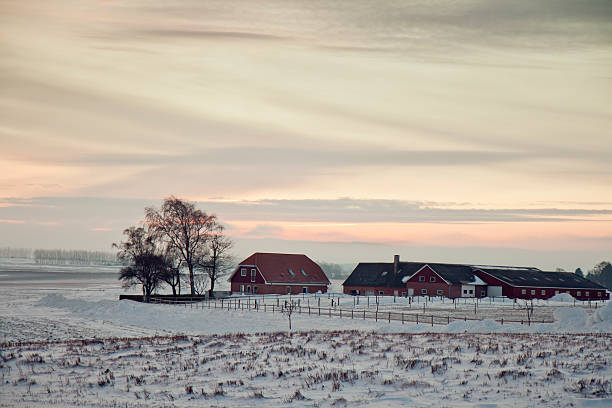 istock Farmhouse in the Sunset 134975279