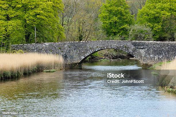 Old Stone Bridge Over A Small River In Scottish Countryside Stock Photo - Download Image Now