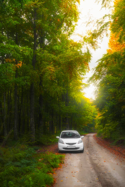 istock Autumn image and colorful leaves. 1349756070