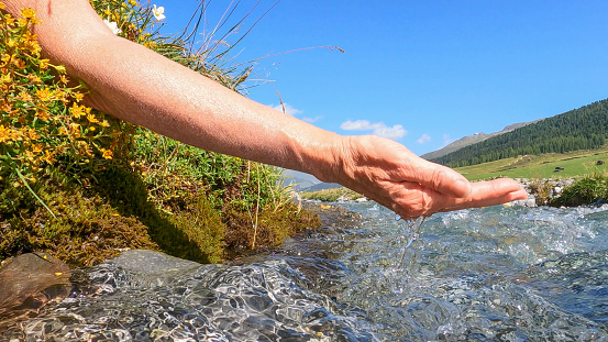 In the Swiss Alps, in summer