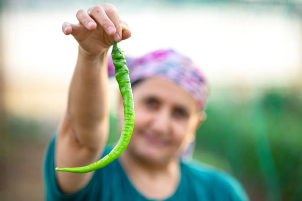 farmer woman happily picking peppers