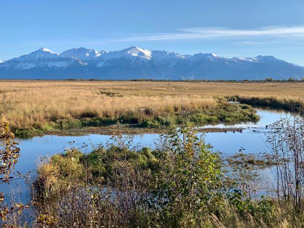 Scenic View in Alaska