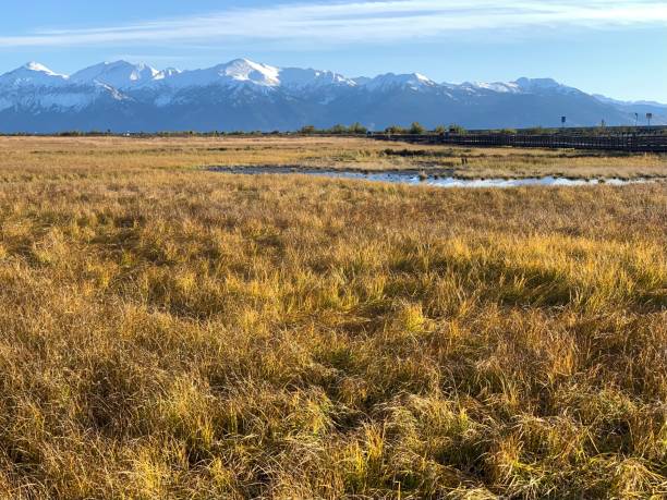 istock Scenic View in Alaska 1349771278