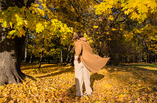 A woman in a coat dances and spins, arms outstretched in the sunny autumn forest. View from behind.