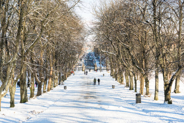 schneebedeckte allee im queen's park, glasgow - snow park road cold stock-fotos und bilder